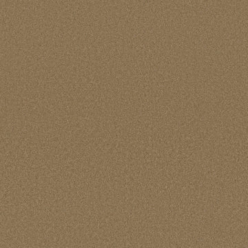 Mojave