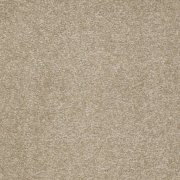 Sahara