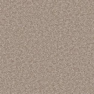 Chinchilla