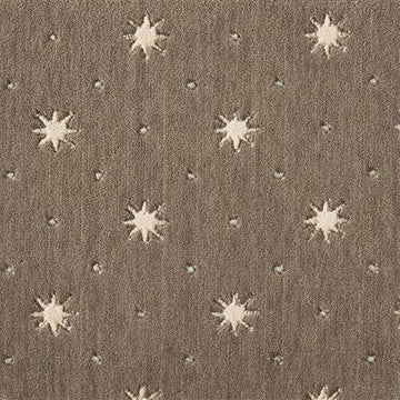 C95f Bark Pumice