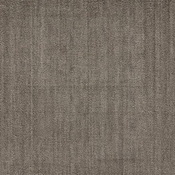 Pt99 Grey
