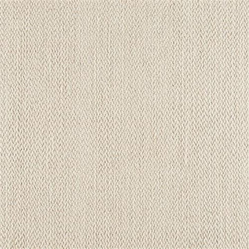 Splst Ivory
