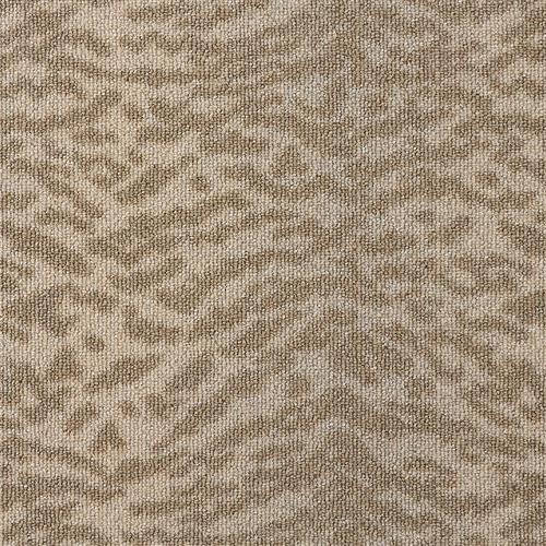 Lusterpoint Tiger Point in tgrpt Brush Carpet