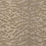 Lusterpoint Tiger Point in tgrpt Brush Carpet