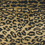 Grand Parterre Wild Safari in Va03 Multicolor Carpet