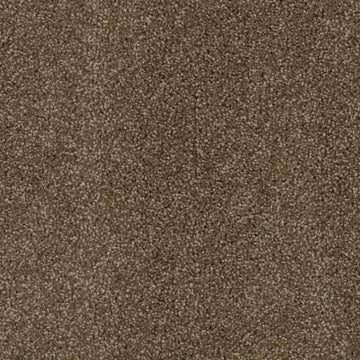 Black Walnut