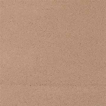 Rodeo Dust