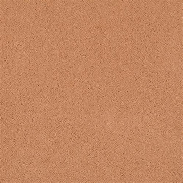 Copper Penny