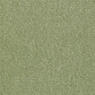 Misty Meadow