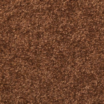 Chocolate Chip
