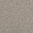 Semitones 2358 in 87823 Wall Street  Carpet Flooring | Dixie Home