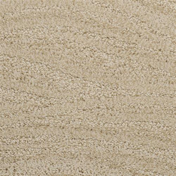 Sandlot