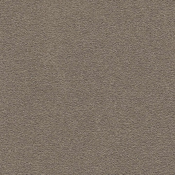Wool Socks