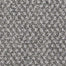 Random Nature II in Anchor Carpet