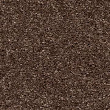 Chocolate Chip