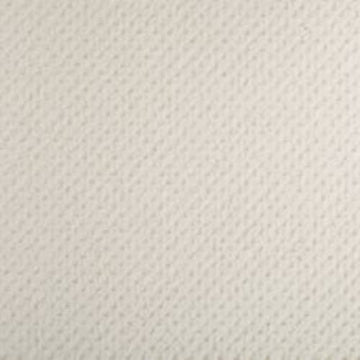 White Dove