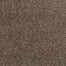 Refreshing Charm in Allure Carpet