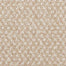 Hometown Charm in Antiques Carpet