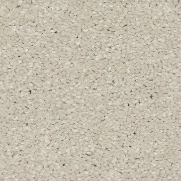 Seagull