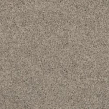 Winter Ash