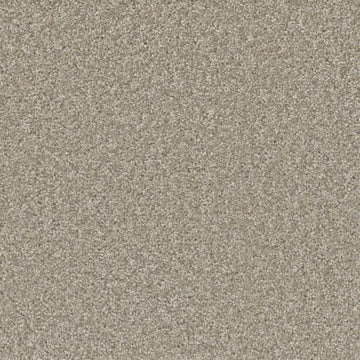 Clam Shell