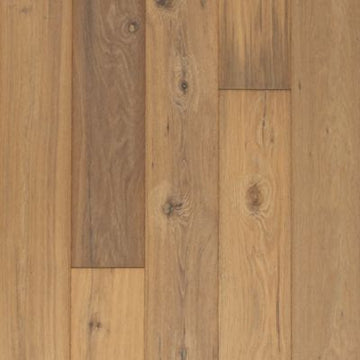 Sandbar Oak