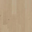 Karastan BelleLuxe Natural Collington