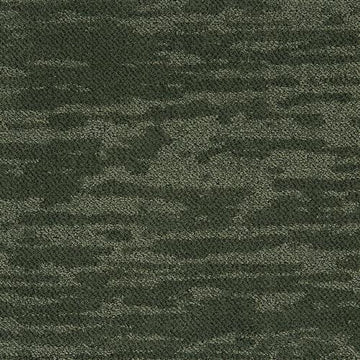 Forrest
