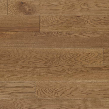 Sable Um 2.25"