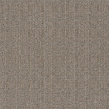 Sahara