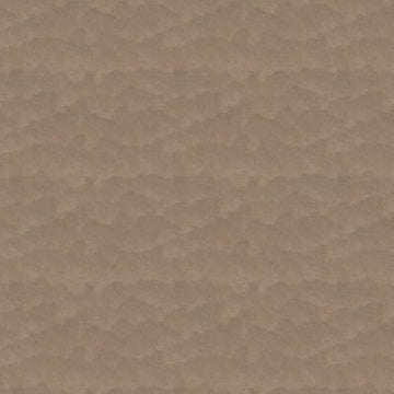Sandy
