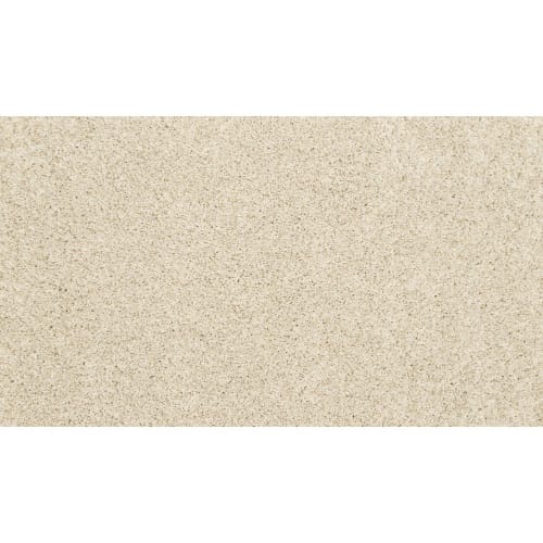 Purrsonality Ii in Canvas Cloth Carpet