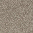 Apricity in Autumn Blaze Carpet