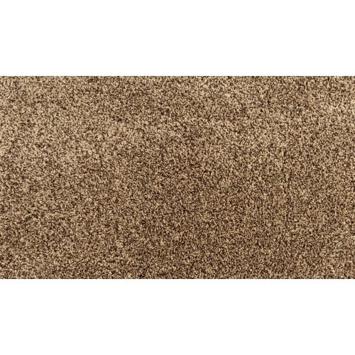 Assorted Elements II in Antique Brown Carpet