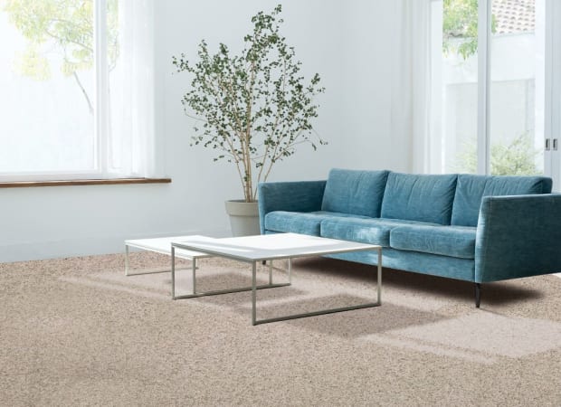 Canine Comfort in Bisque Carpet