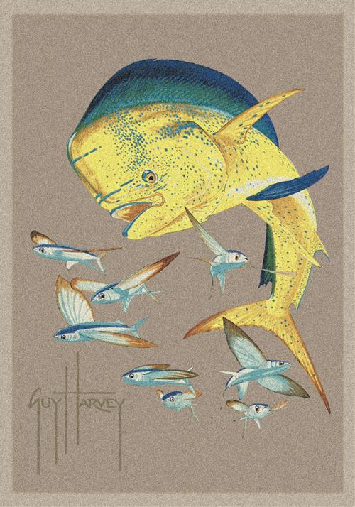 Bull Dolphins and Flyers-637