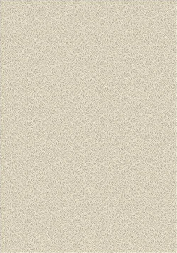 5'4" x 7'8"