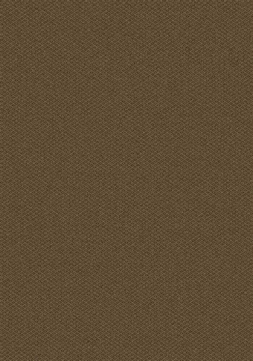 Parkdale-Hope Chest Flooring by Milliken