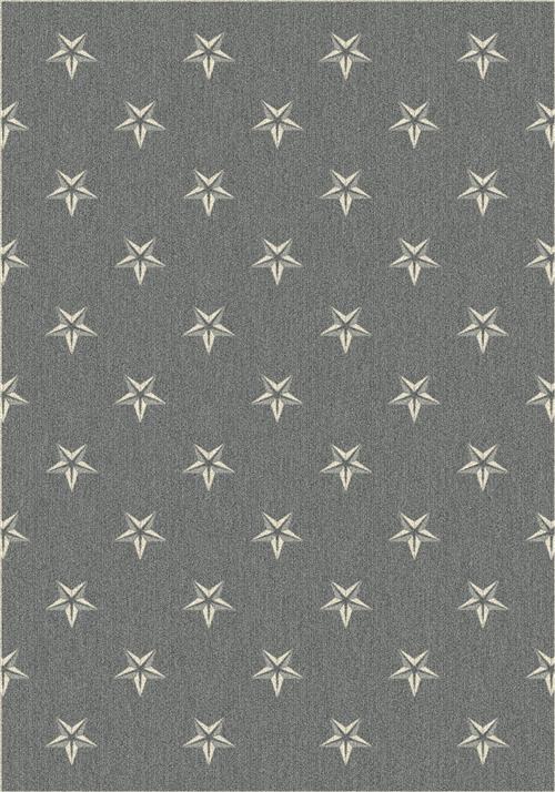 Northern Star-Patriot Gray Flooring by Milliken