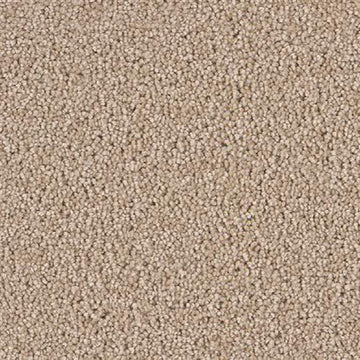 Sand