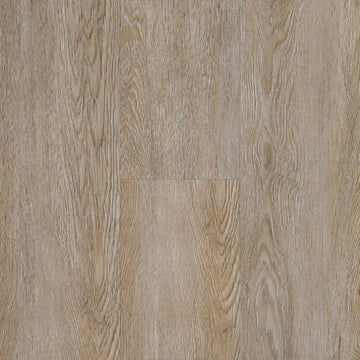 Ecru Oak