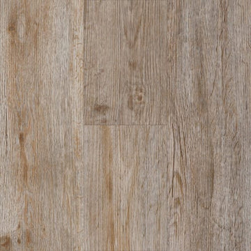Homestead Oak