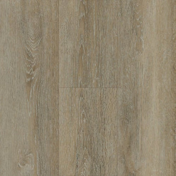 Shoreline Oak