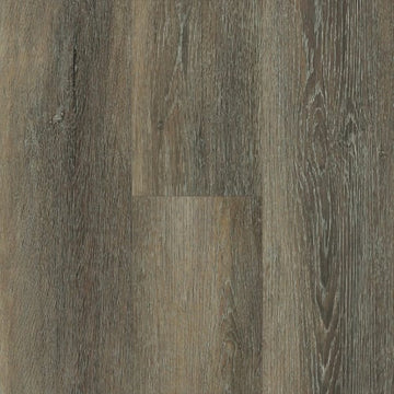 Falcon Oak