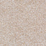 Enduring Harmony in Biscotti Carpet