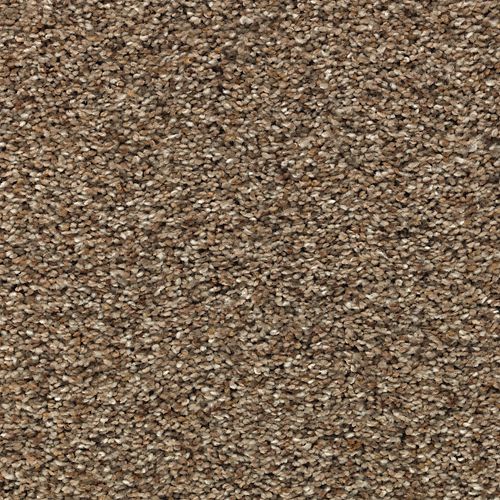 Dynamic Living in Ashen Tan Carpet