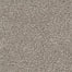 Style Manor in Adirondack Carpet