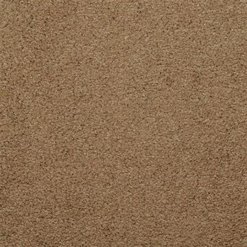 Safari
