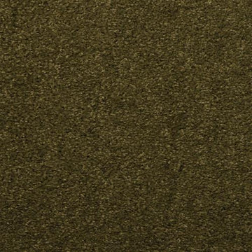 Tropical