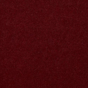 Vibrant Red